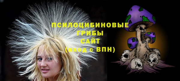 стаф Белоозёрский
