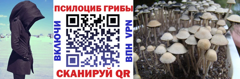 Галлюциногенные грибы мухоморы  Володарск 