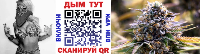 где купить Володарск Каннабис гибрид